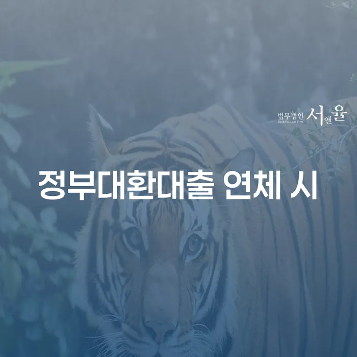 카드대금 연체 빚청산 미리알기
