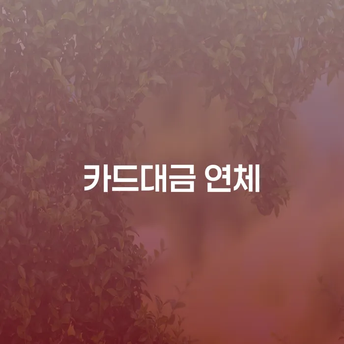 개인회생 법무사 비용 무이자 자체 분납 가능하고 워크아웃 문제를 해결