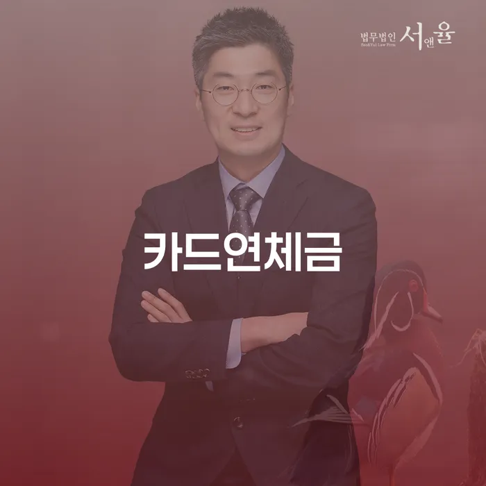 개인회생 개인회생으로 해결방법 잘 하는 변호사