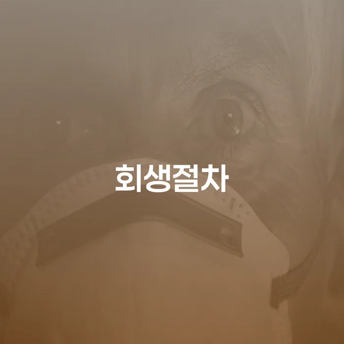 개인회생카페 개인회생 제도 있는지확인