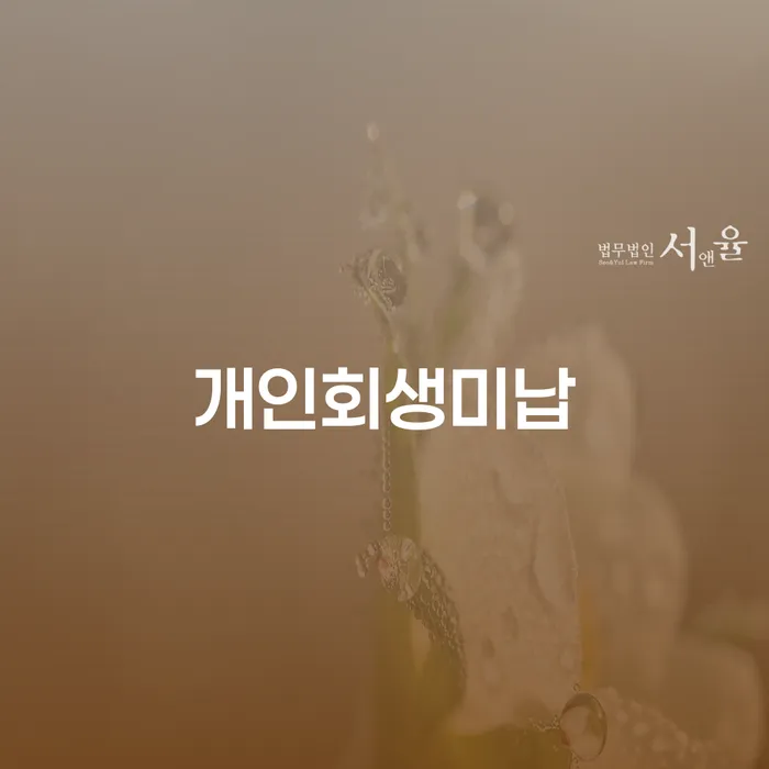 채무자대리인제도 채무조정제도을 이용하여 해결 할 수 있을까?