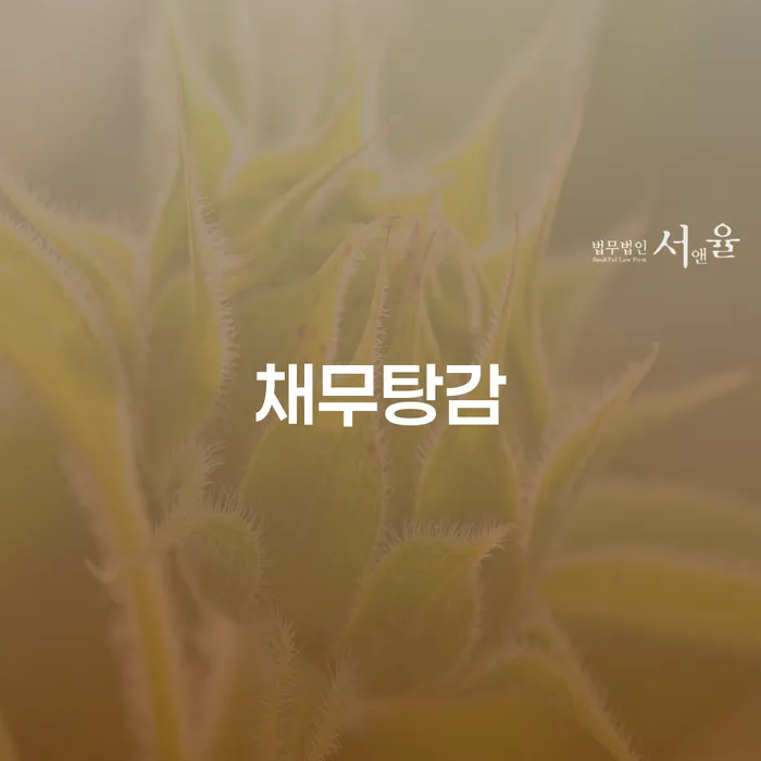 저금리서민대출 연체 시 대출 받은 돈채무조정 핵심요약