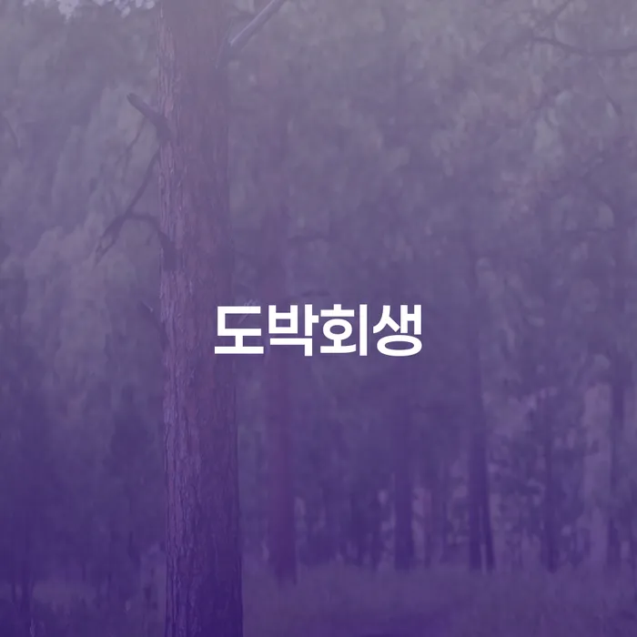 개인회생면책대출 연체 채무 신속해결방법 최신정보