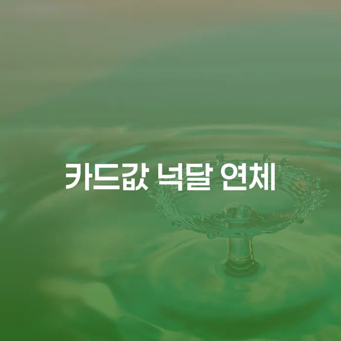 상속파산 빚 합법적인 빠른방법 잘 하는 변호사