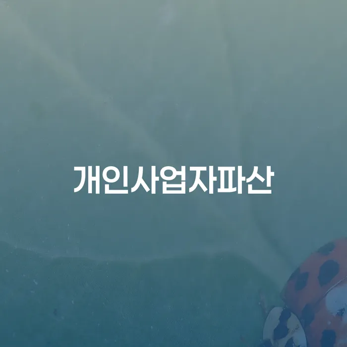개인회생절차 빚독촉 무료상담
