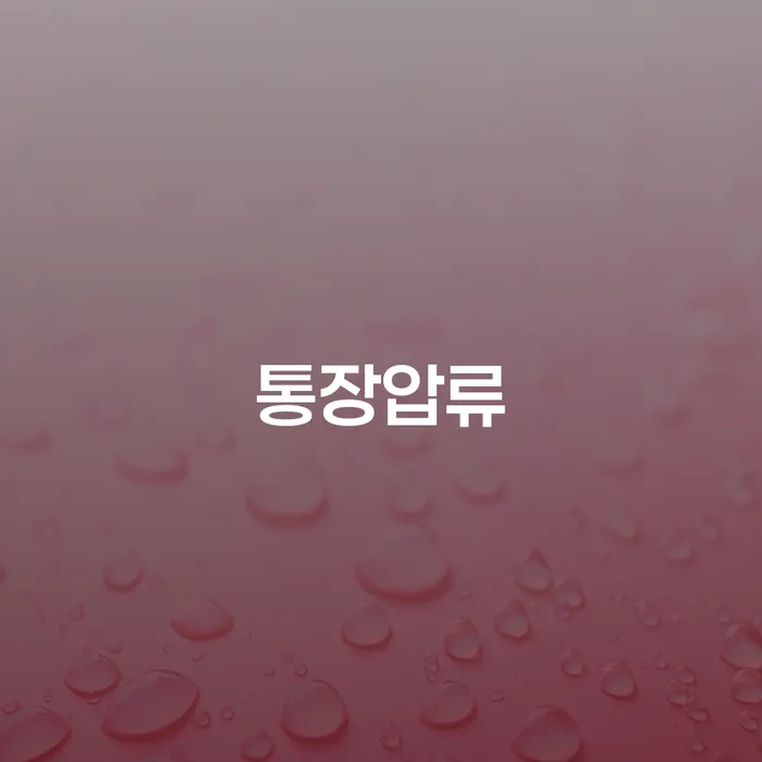 안양시 햇살론대출연체 빚청산 있는지확인
