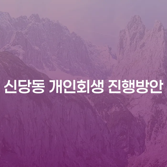 신당동 개인회생 진행방안