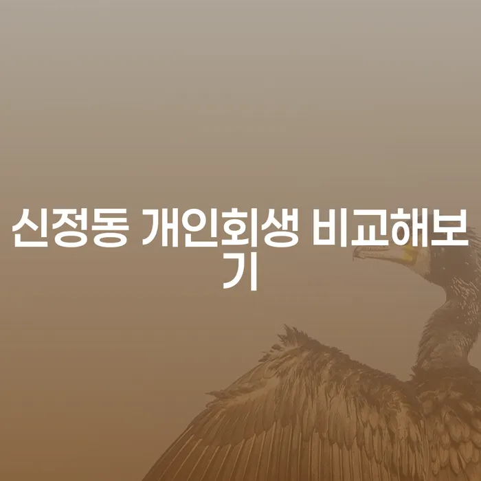 신정동 개인회생 비교해보기