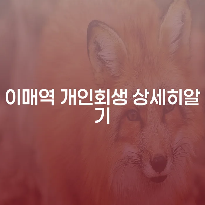 이매역 개인회생 상세히알기