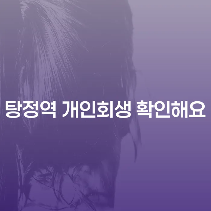 탕정역 개인회생 확인해요