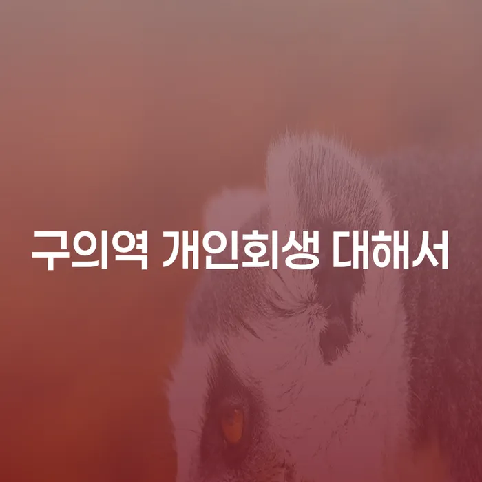구의역 개인회생 대해서