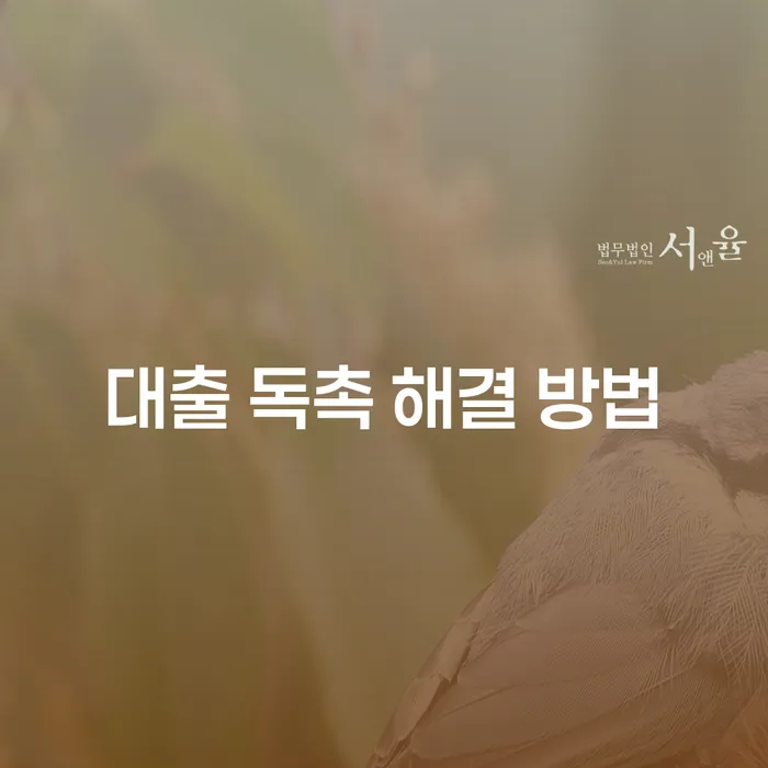 대출 독촉 전화, 어떻게 해결할 수 있을까요?