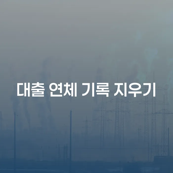 대출 연체 기록 지우기, 정말 가능한가요?