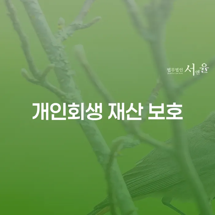 개인회생 재산 보호: 어떻게 내 재산을 지킬 수 있을까요?
