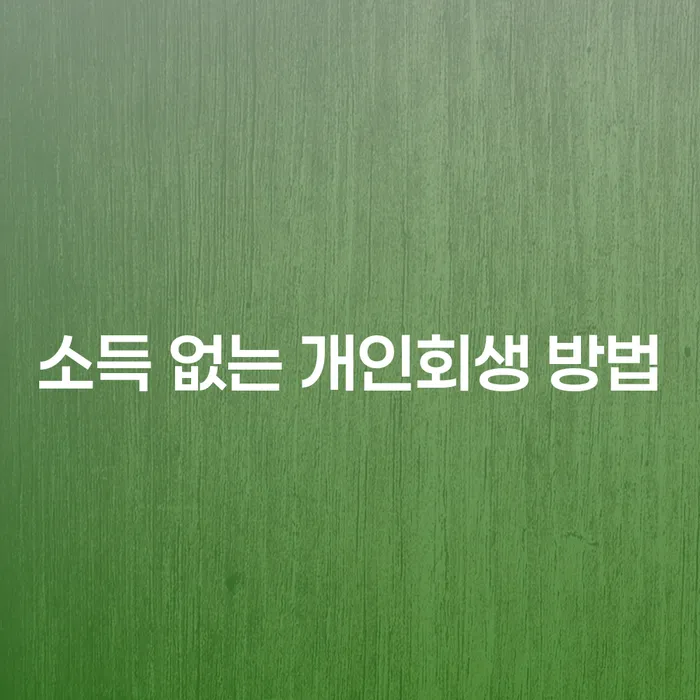 소득이 없을 때 개인회생을 해야 할까요?