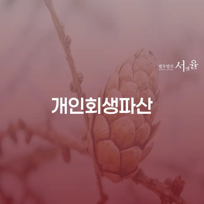 서산시 개인회생 및 개인파산 절차와 사례