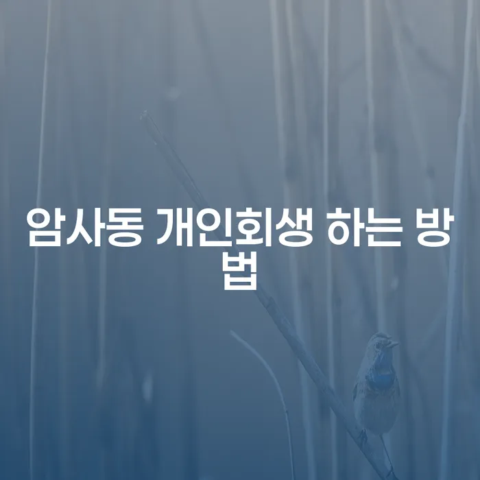 암사동 개인회생을 통해 채무에서 벗어나는 방법은?