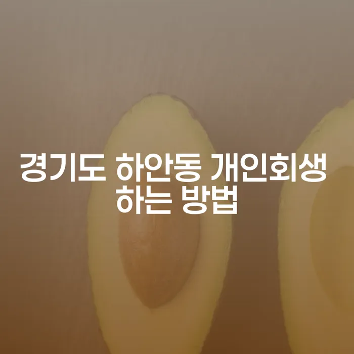 경기도 하안동에서 개인회생을 성공적으로 신청하는 방법은?