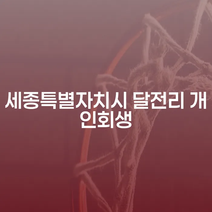 세종특별자치시 달전리에서 개인회생과 개인파산을 고민 중이신가요?