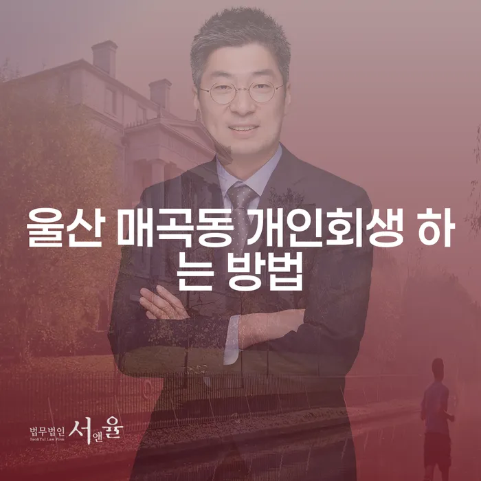 울산 매곡동에서 개인회생과 파산 신청, 어떻게 해야 할까요?