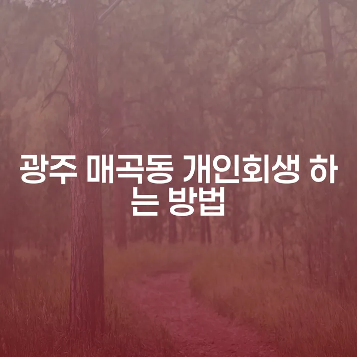 광주 매곡동에서 개인회생을 시작하는 방법은?