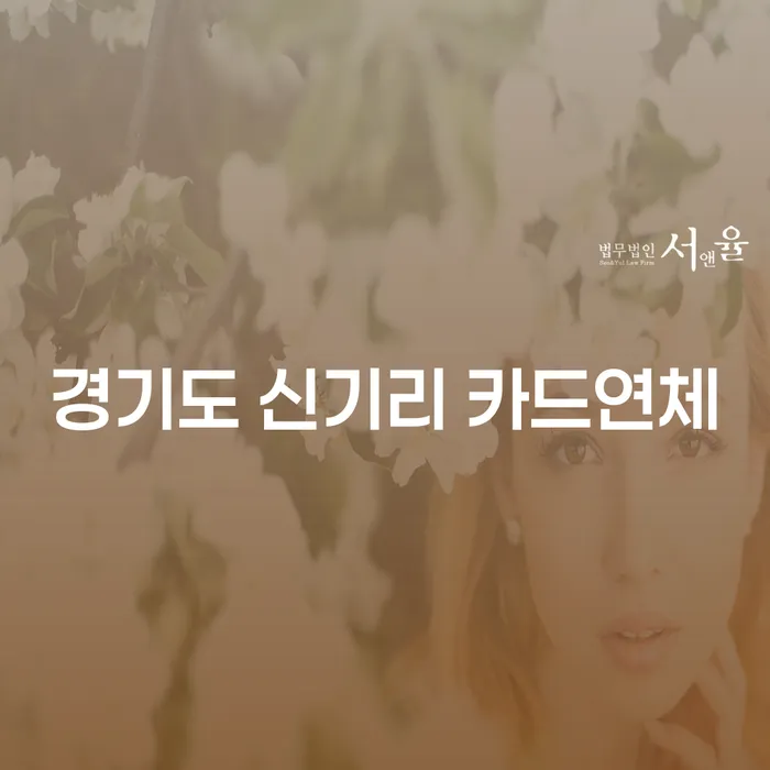 경기도 신기리에서 카드연체, 개인회생이나 개인파산을 고려해야 할까?